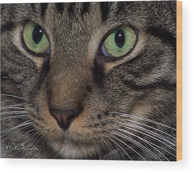 Cat Wood Print featuring the photograph Isaac's Eyes by Vickie Szumigala