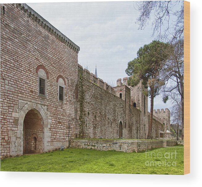 Turkey Wood Print featuring the photograph Istanbul City Wall 04 by Antony McAulay