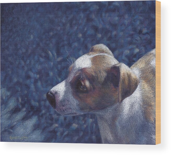 Jack Russell Wood Print featuring the drawing Jack Russell Terrier on Blue by Ben Hartnett