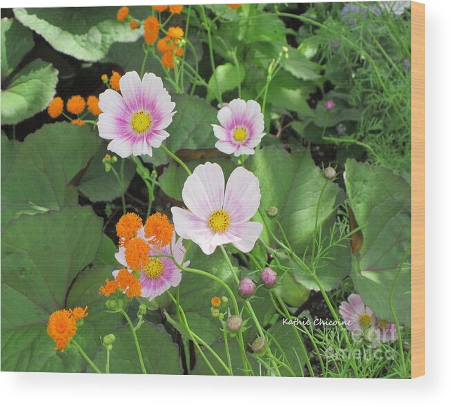 Kathie Chicoine Wood Print featuring the photograph June Flowers by Kathie Chicoine