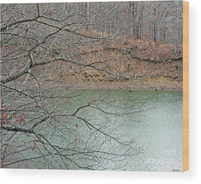 Lake Wood Print featuring the photograph Lake Dunn in Winter by Lizi Beard-Ward