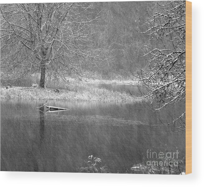 For Steve Adn Deb Wood Print featuring the photograph Lake Lois by Chuck Flewelling