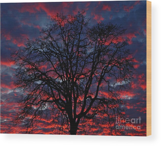Pacific Wood Print featuring the photograph Lake Oswego Sunset by Nick Boren