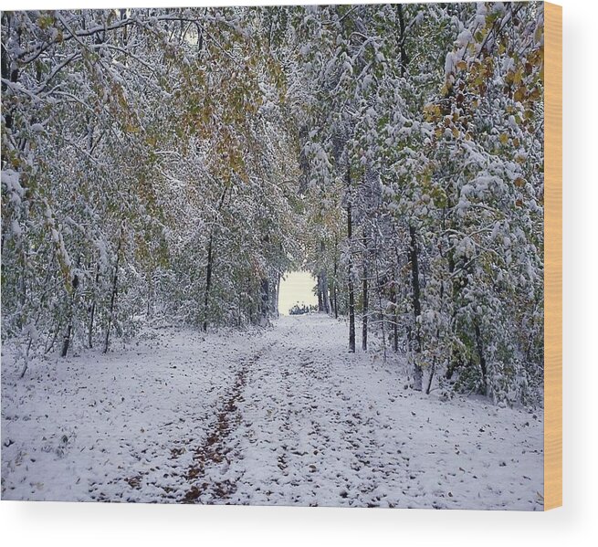 Lanscape - The First Snow Wood Print featuring the photograph Let it snow by Felicia Tica