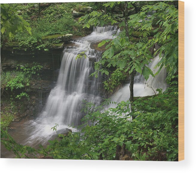 Tim Fitzharris Wood Print featuring the photograph Lichen Falls Ozark National Forest by Tim Fitzharris