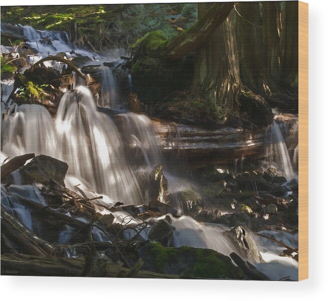 Life Begins To Flow Wood Print featuring the photograph Life Begins To Flow by Jordan Blackstone