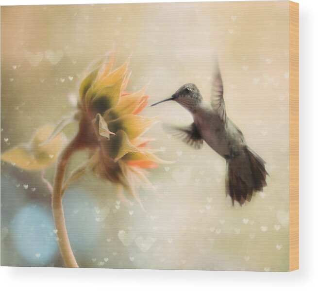 Hummingbird Wood Print featuring the photograph Like a Moth To a Flame by Amy Tyler