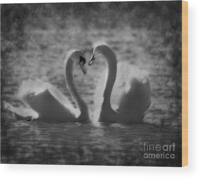 Festblues Wood Print featuring the photograph Love is.. by Nina Stavlund