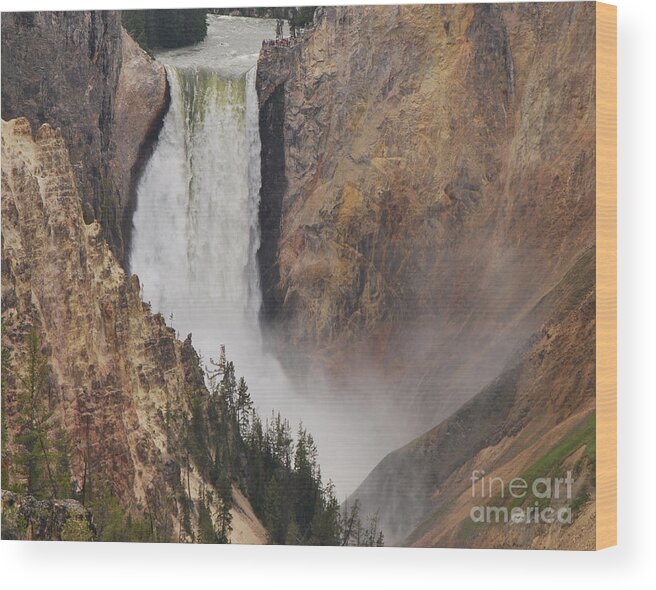 Yellowstone Wood Print featuring the photograph Lower Falls - Yellowstone by Mary Carol Story