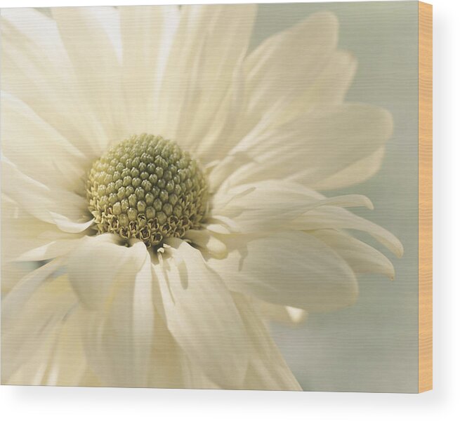 Floral Wood Print featuring the photograph Luminescence by Darlene Kwiatkowski