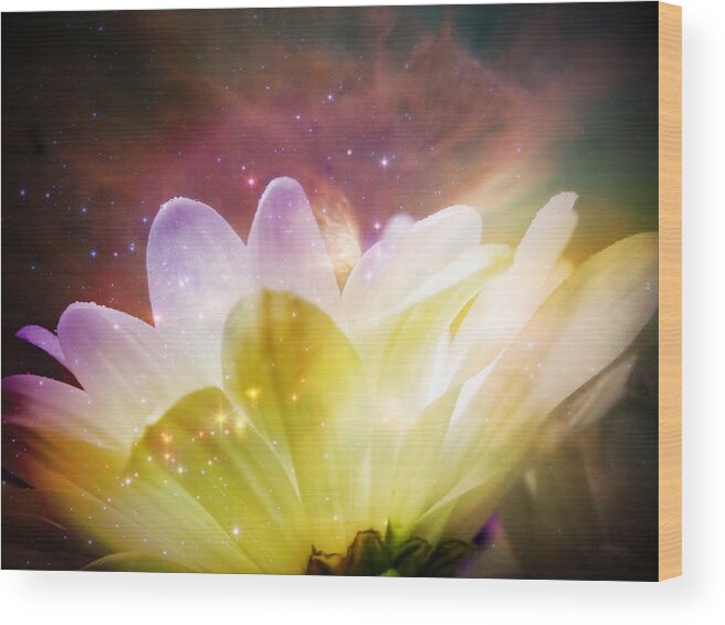 Magic Wood Print featuring the photograph Magical Garden by Melissa Bittinger