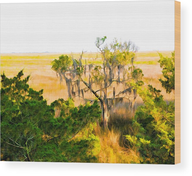 Marsh Wood Print featuring the photograph Marsh Cedar Tree and Moss by Ginger Wakem