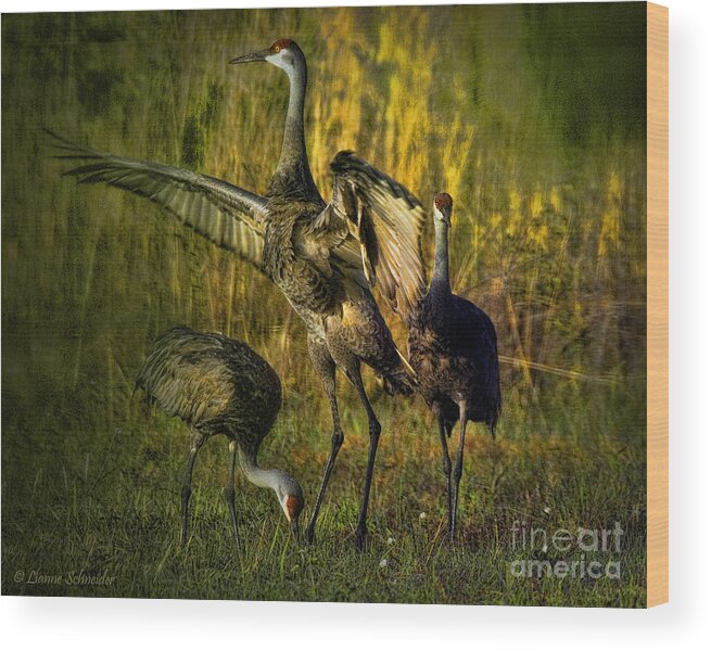 Birds Wood Print featuring the digital art May I Have This Dance by Lianne Schneider