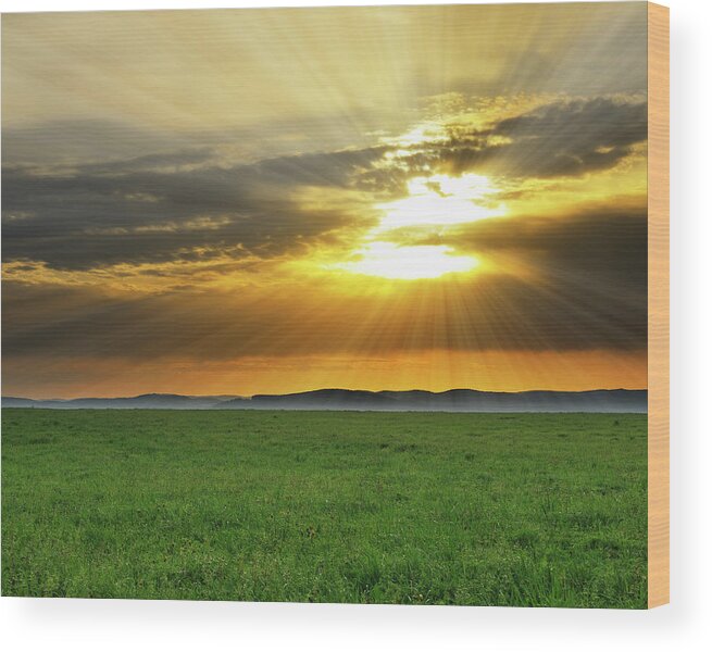 Scenics Wood Print featuring the photograph Meadow In The Morning by Raimund Linke