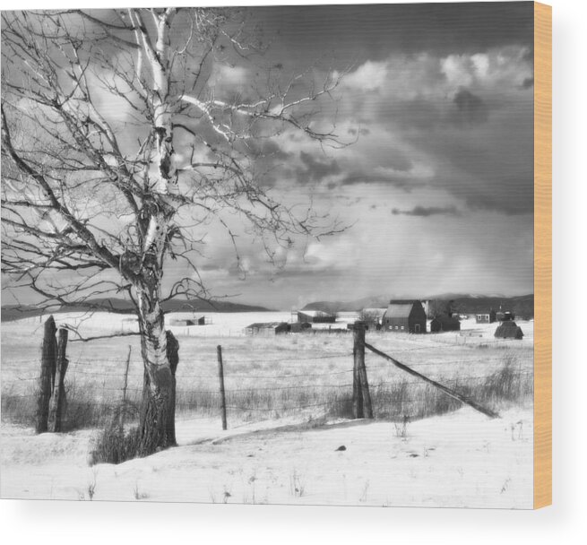 Snow Wood Print featuring the photograph Mid-winter Moonlight by Theresa Tahara