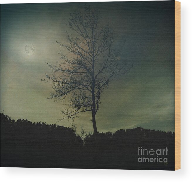 Digital Wood Print featuring the photograph Moonspell by Peter Awax