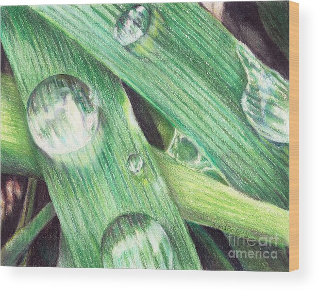 Dew Wood Print featuring the painting Morning Dew by Shana Rowe Jackson