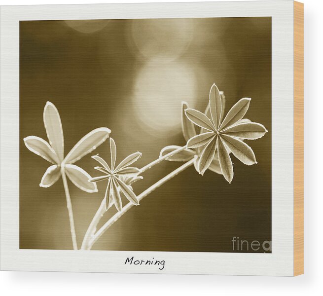 Vintage Art Wood Print featuring the photograph Morning by Artist and Photographer Laura Wrede
