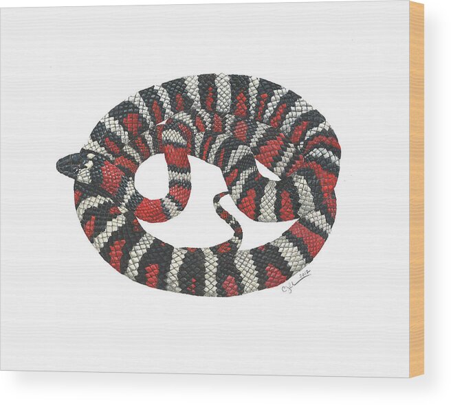 Herpetology Wood Print featuring the painting Mountain King Snake by Cindy Hitchcock