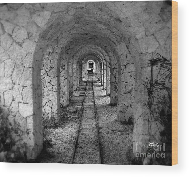 Arched Narrow Gauge Wood Print featuring the photograph Arched Narrow Gauge by Patrick Witz