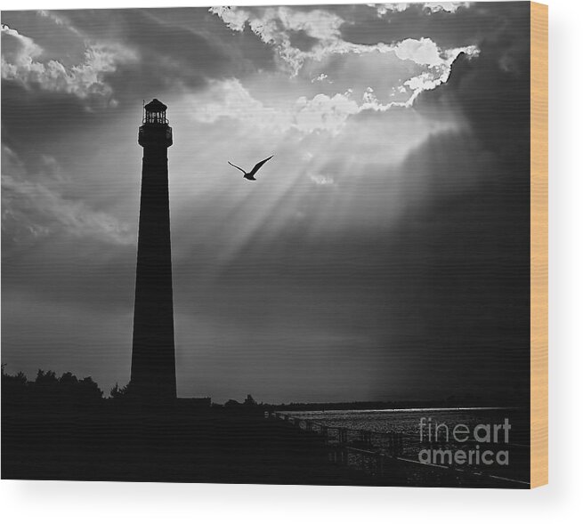 Lbi Wood Print featuring the photograph Nature Shines Brighter in black and white by Mark Miller