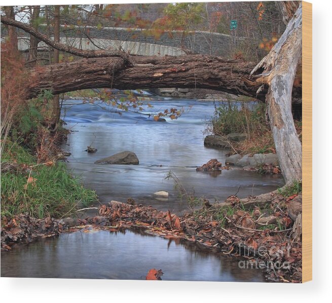Landscape Wood Print featuring the photograph Nature's Bridge by Rod Best