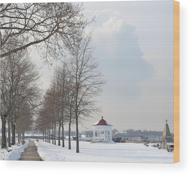 Newport Wood Print featuring the photograph Newport Waterfront by Angela DeFrias