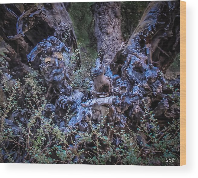 Tree Wood Print featuring the photograph Old Man Oak by Susan Eileen Evans
