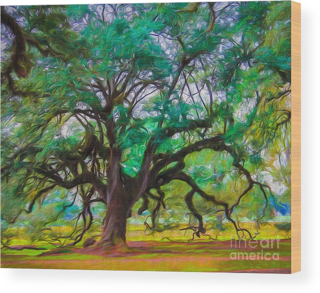 Oak Alley Wood Print featuring the photograph Old Plantation Oak by Perry Webster