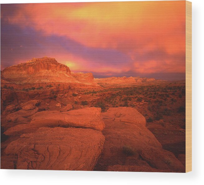 National Park Wood Print featuring the photograph Once in a Lifetime by Ray Mathis