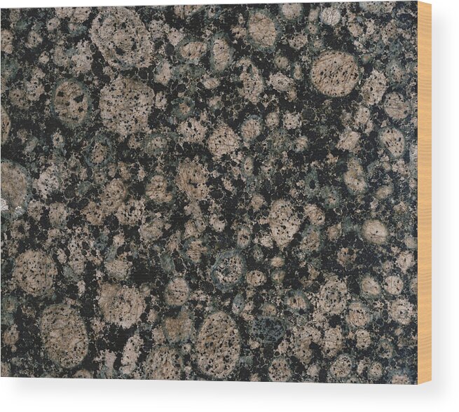 Close-up Wood Print featuring the photograph Orbicular Granite by Phillip Hayson