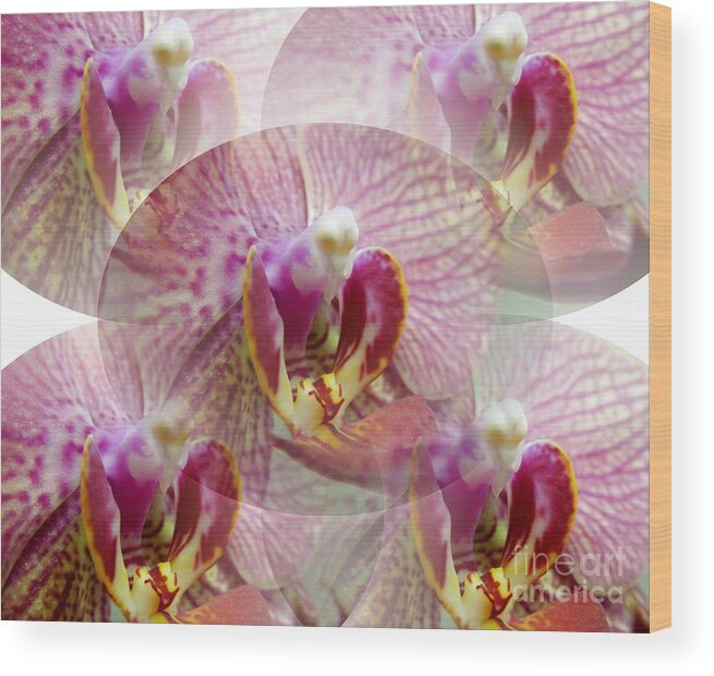 Orchid Wood Print featuring the photograph Orchid X5 by Renee Trenholm