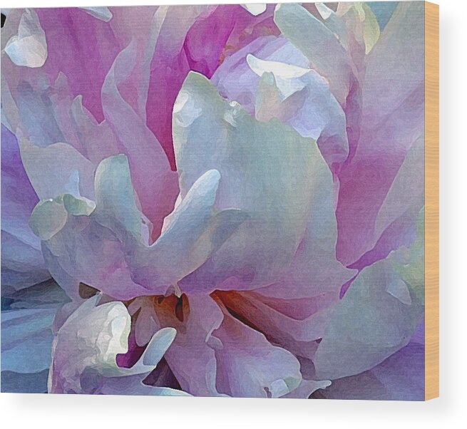 Floral Wood Print featuring the photograph Painted Peony by Jodie Marie Anne Richardson Traugott     aka jm-ART