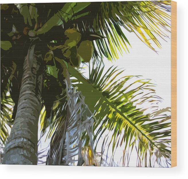 Palm Wood Print featuring the photograph Palms away 3 by Alan Metzger