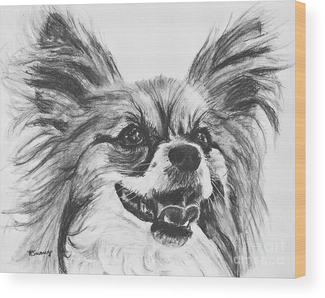Main street stamp bid Papillon Dog Drawing Wood Print by Kate Sumners - Fine Art America