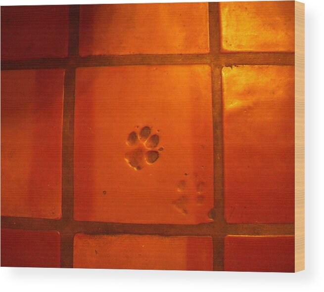 Paw Prints Wood Print featuring the photograph Paw Prints by Glory Ann Penington