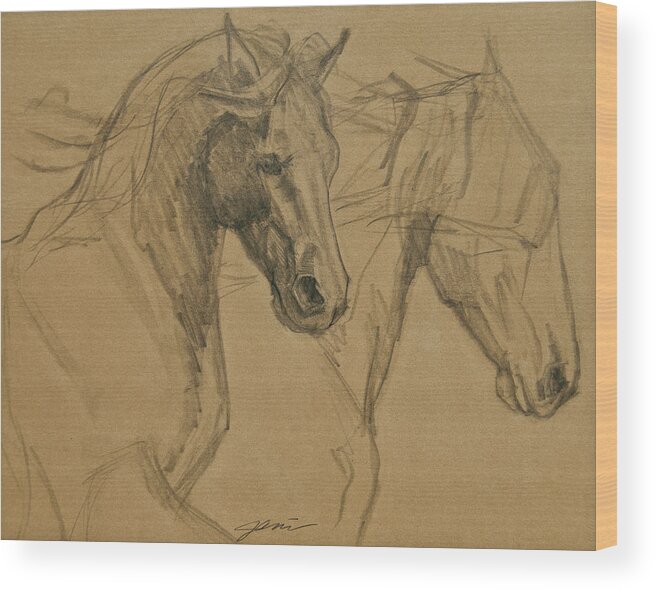 Horse Art Wood Print featuring the drawing Peace And Justice Sketch by Jani Freimann