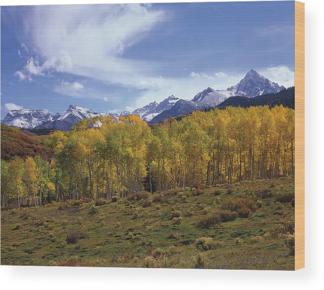 Landscape Wood Print featuring the photograph Peaks - In - View by Paul Breitkreuz