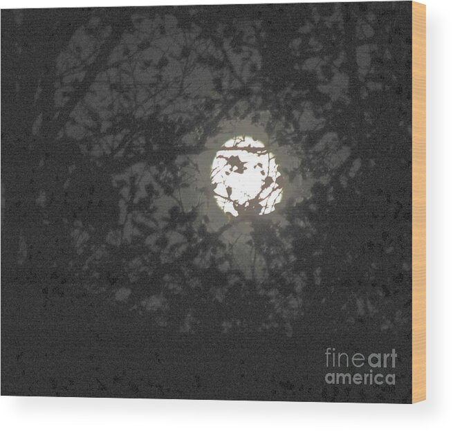 Fullmoon Wood Print featuring the photograph Poe Moon by Barry Bohn