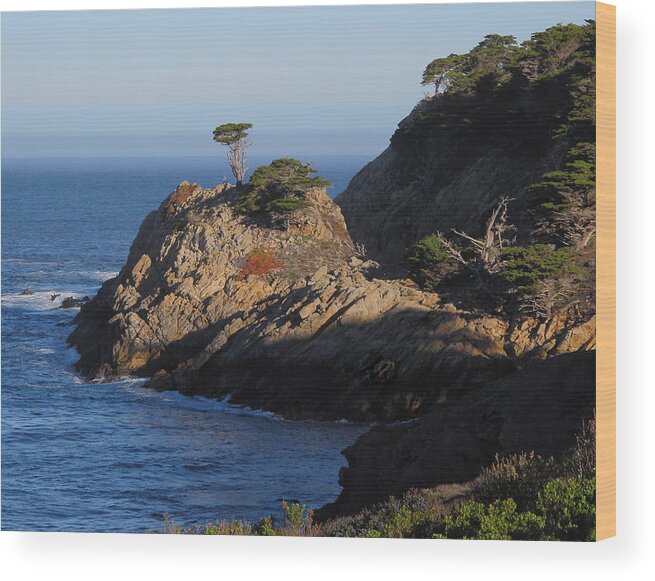 Point Lobos Wood Print featuring the photograph Point Lobos in the Morning by Derek Dean