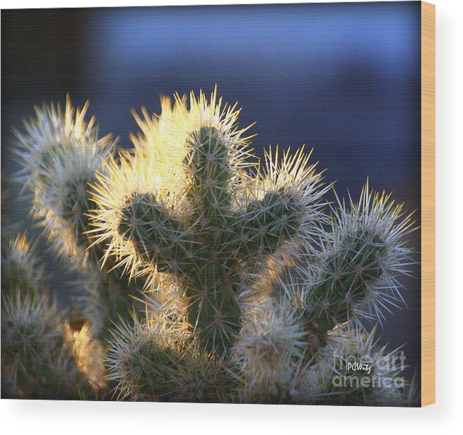 Prickly Sunset Wood Print featuring the photograph Prickly Sunset by Patrick Witz