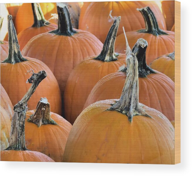 Pumpkins Wood Print featuring the photograph Pumpkins by Janice Drew