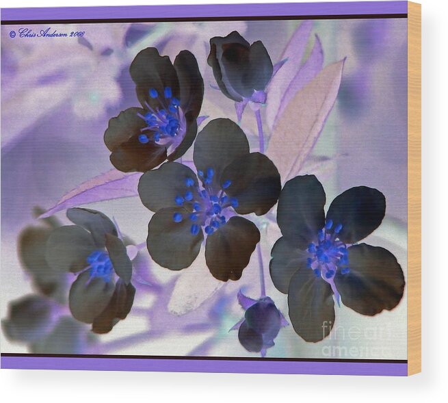 April 2007 Wood Print featuring the photograph Purple Blue and Gray by Chris Anderson