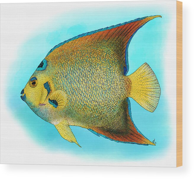 Illustration Wood Print featuring the photograph Queen Angelfish by Roger Hall