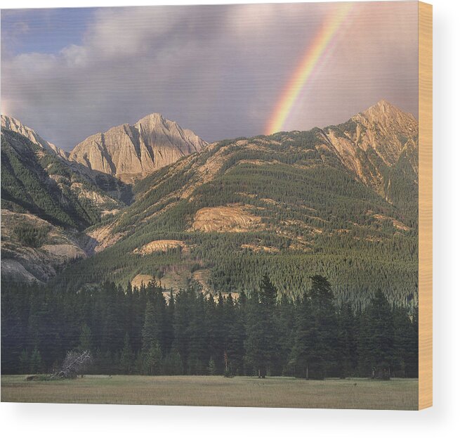 Feb0514 Wood Print featuring the photograph Rainbow Over Colin Range Jasper Np by Tim Fitzharris