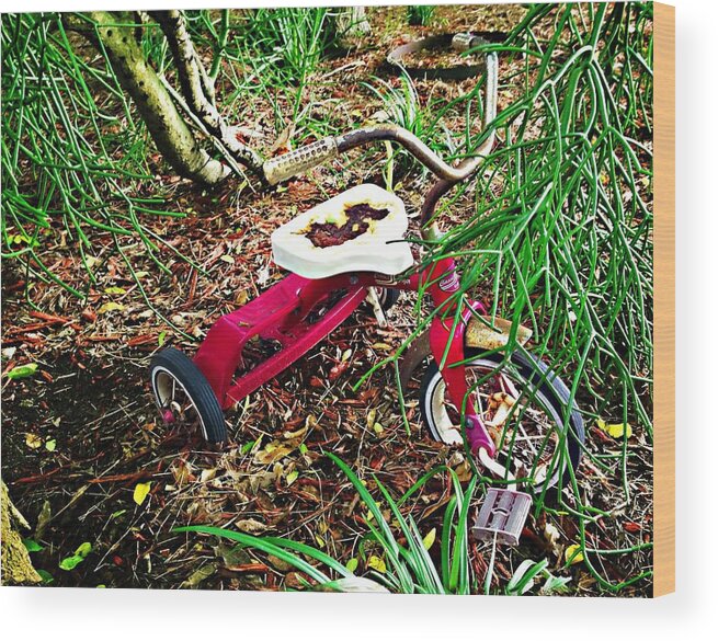Tricycle Wood Print featuring the photograph Recollections by Carlos Avila