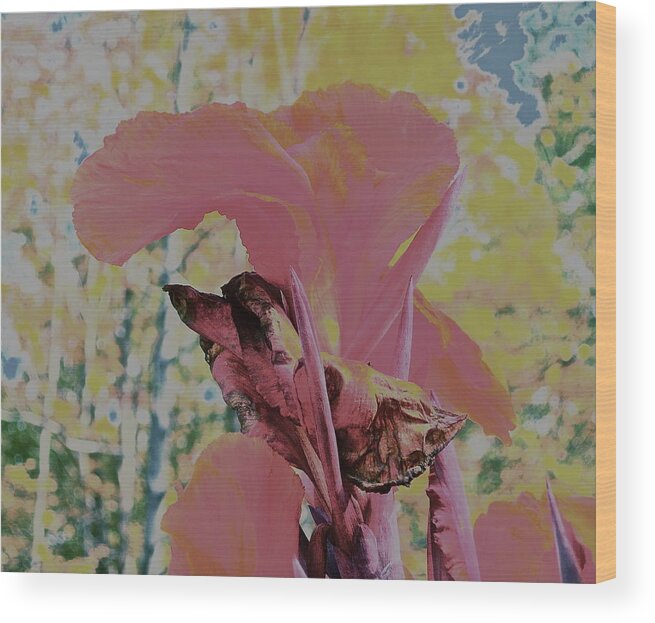 Red Flower Wood Print featuring the photograph Red Bloom by Brooke Friendly