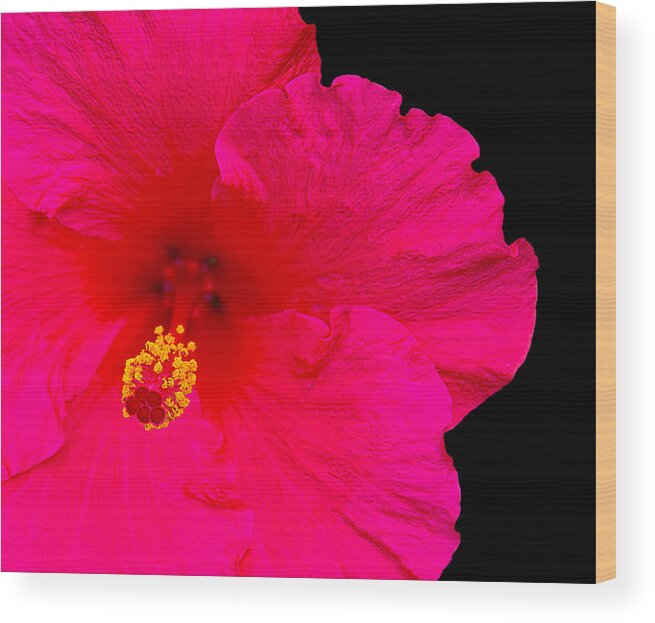 Flower Wood Print featuring the photograph Red Hibiscus by Andre Aleksis