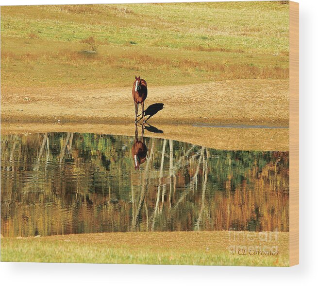 Chestnut Mare Wood Print featuring the photograph Reflection by Carol Lynn Coronios