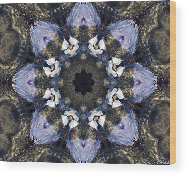 Abstract Wood Print featuring the photograph Reflection - Kaleidoscope Art by Jordan Blackstone
